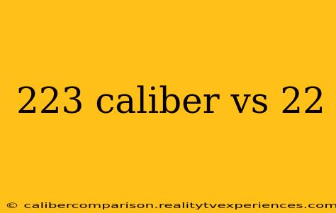 223 caliber vs 22