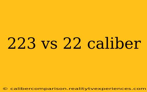 223 vs 22 caliber