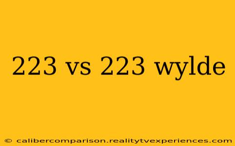 223 vs 223 wylde