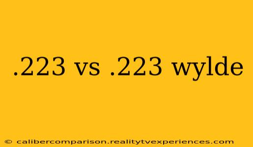 .223 vs .223 wylde