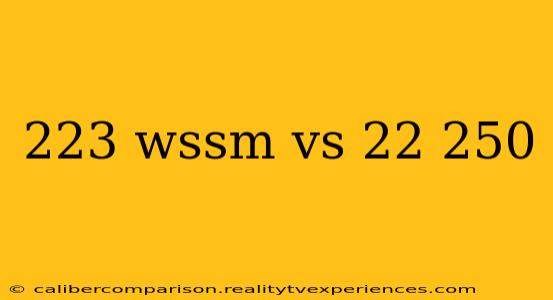 223 wssm vs 22 250