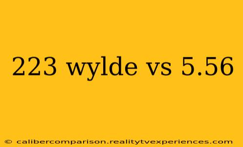 223 wylde vs 5.56