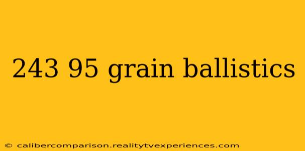 243 95 grain ballistics