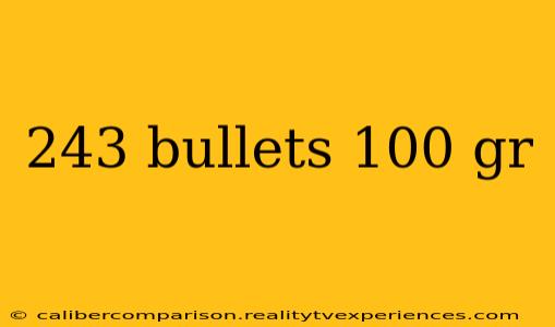 243 bullets 100 gr