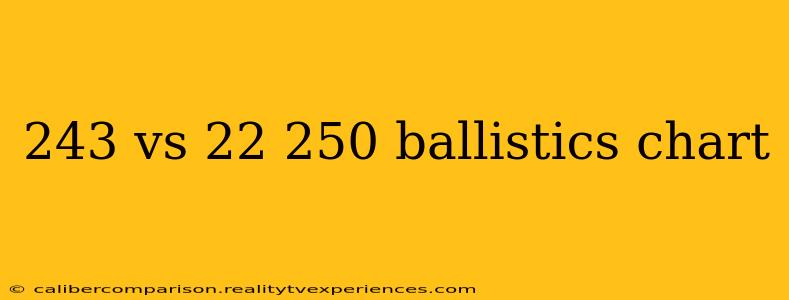 243 vs 22 250 ballistics chart