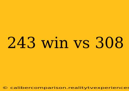 243 win vs 308