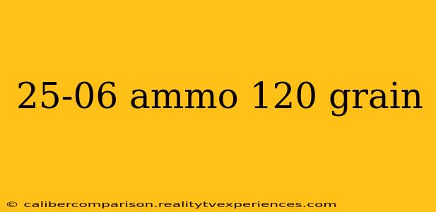 25-06 ammo 120 grain