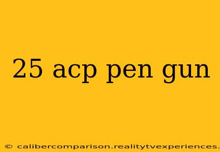 25 acp pen gun