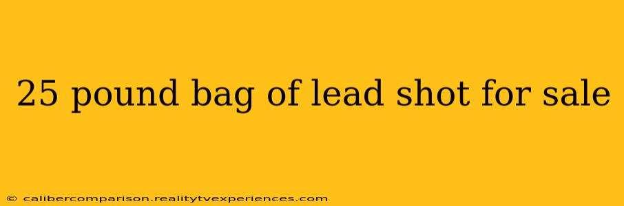 25 pound bag of lead shot for sale