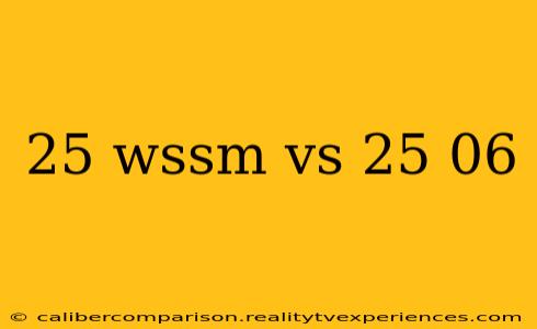 25 wssm vs 25 06