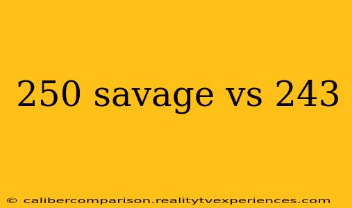 250 savage vs 243