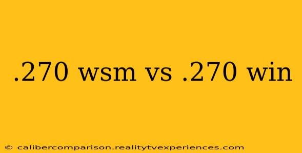 .270 wsm vs .270 win