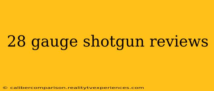 28 gauge shotgun reviews