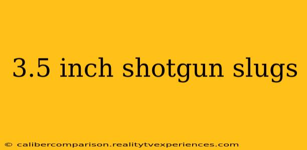 3.5 inch shotgun slugs