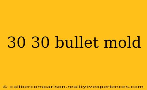 30 30 bullet mold