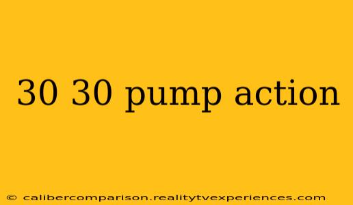 30 30 pump action