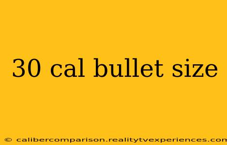 30 cal bullet size