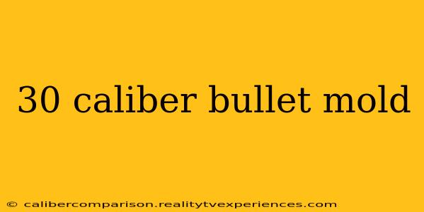 30 caliber bullet mold