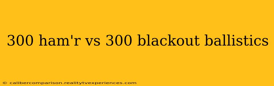 300 ham'r vs 300 blackout ballistics