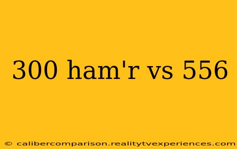 300 ham'r vs 556