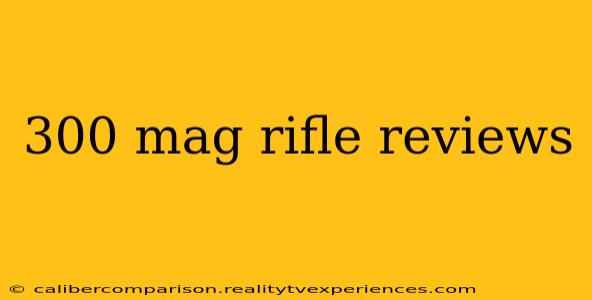 300 mag rifle reviews