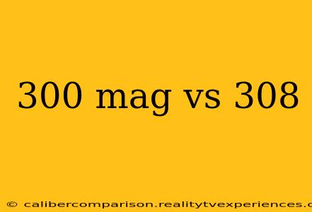 300 mag vs 308