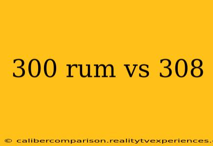 300 rum vs 308