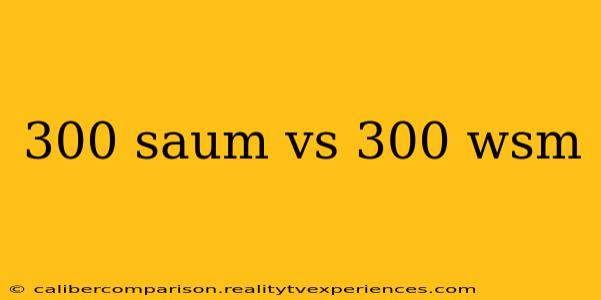 300 saum vs 300 wsm