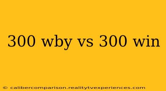 300 wby vs 300 win