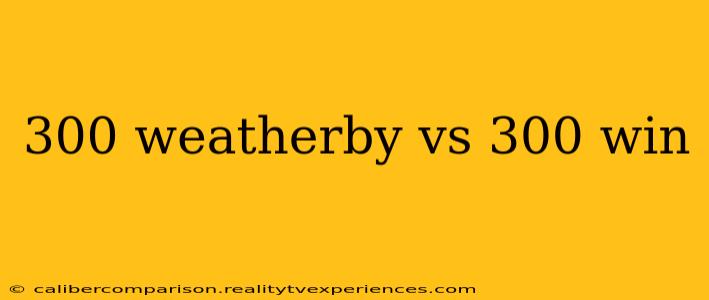 300 weatherby vs 300 win