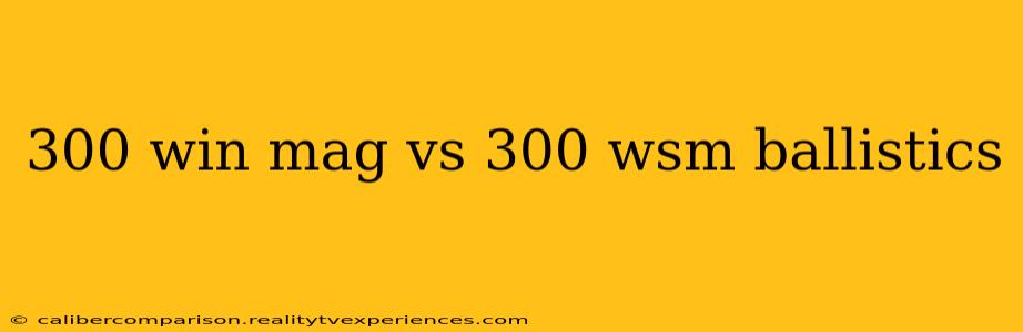 300 win mag vs 300 wsm ballistics