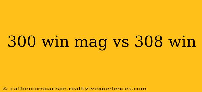 300 win mag vs 308 win