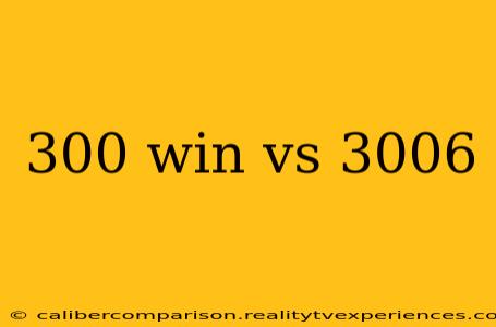 300 win vs 3006