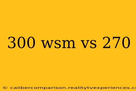 300 wsm vs 270