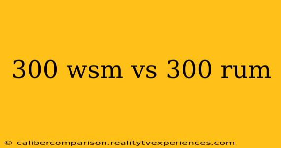 300 wsm vs 300 rum