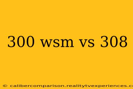 300 wsm vs 308