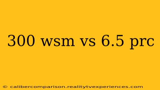 300 wsm vs 6.5 prc