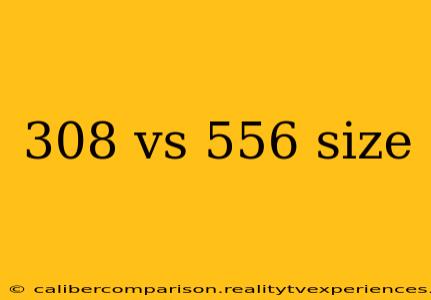 308 vs 556 size