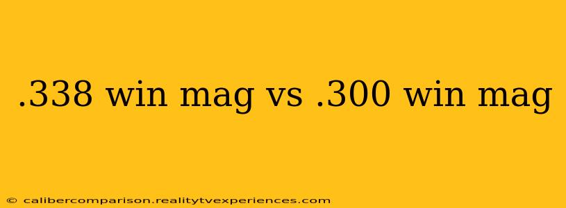 .338 win mag vs .300 win mag