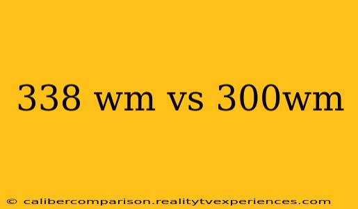 338 wm vs 300wm