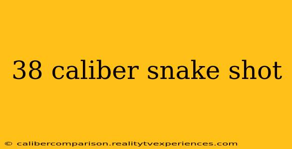 38 caliber snake shot