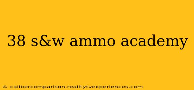 38 s&w ammo academy