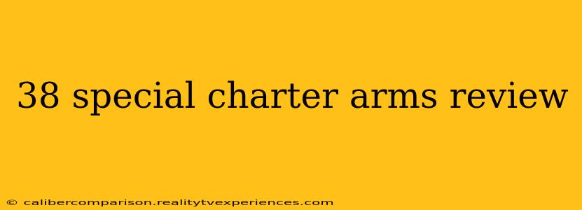 38 special charter arms review