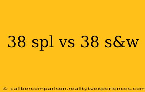 38 spl vs 38 s&w