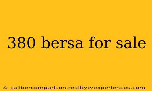 380 bersa for sale