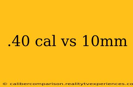 .40 cal vs 10mm