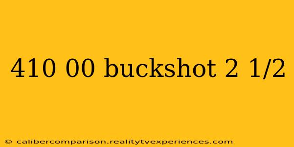 410 00 buckshot 2 1/2