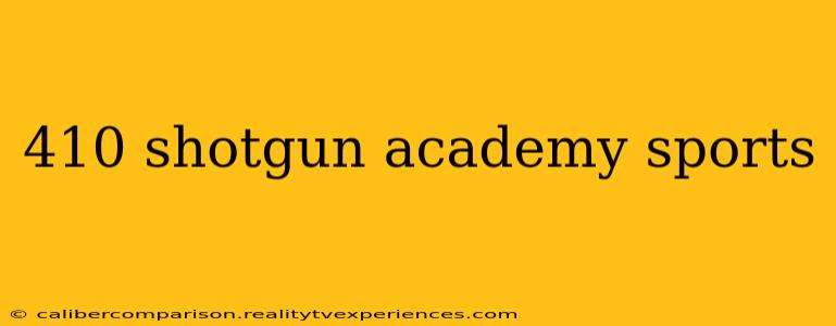 410 shotgun academy sports