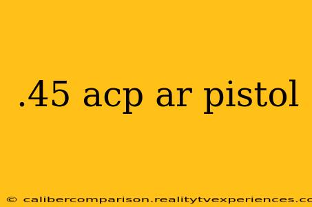 .45 acp ar pistol