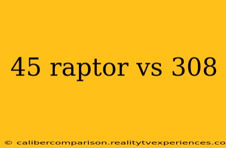 45 raptor vs 308